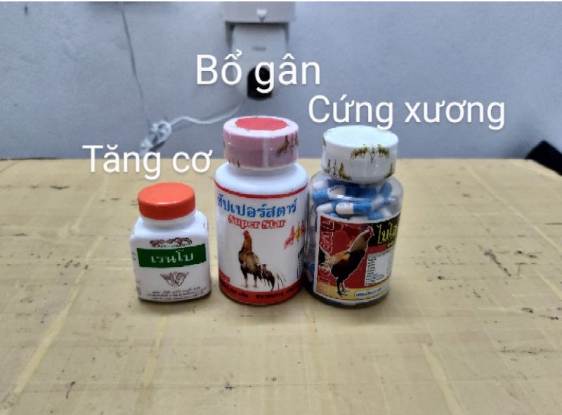 Thuốc bổ cho gà đá cựa sắt